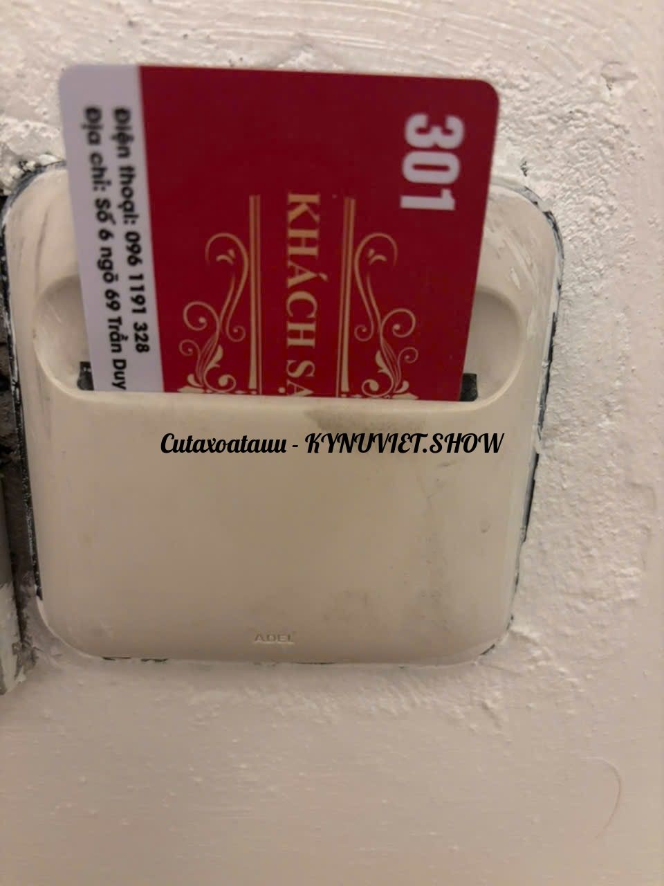 IMG_2927.jpeg